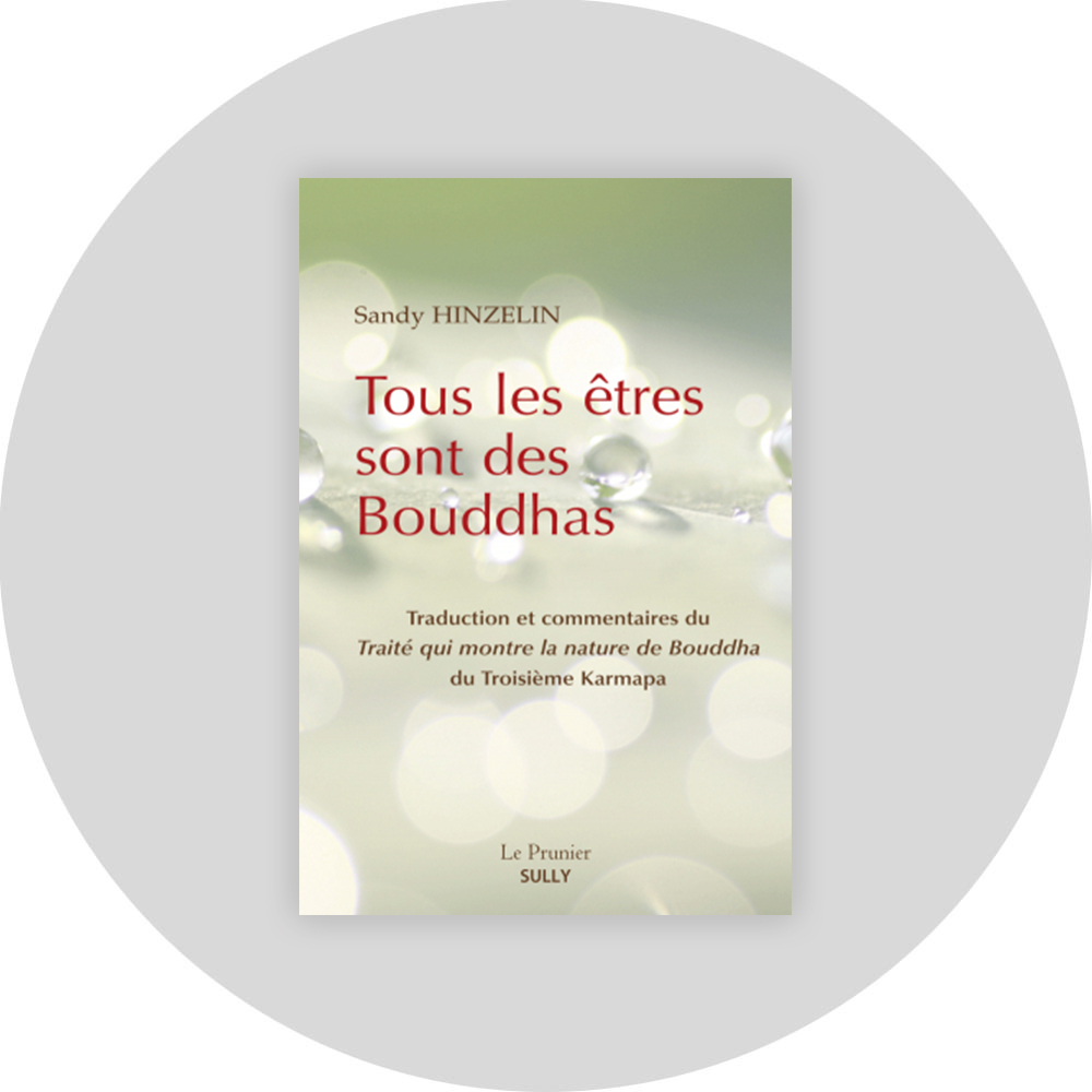 hinzelin-tous-bouddhas