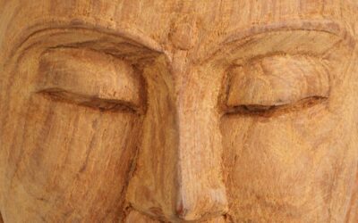 Mini-restitutions : Les notions clés du dharma